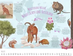 Weingarten Wo Tiere Und Pflanzen Zu Hause Sind Kalender 2025