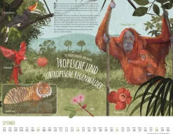 Weingarten Wo Tiere Und Pflanzen Zu Hause Sind Kalender 2025